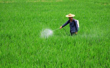 農(nóng)藥防偽標(biāo)簽