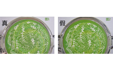 防偽查詢防偽標(biāo)簽