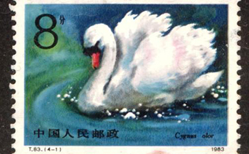 郵票防偽標(biāo)簽技術(shù)