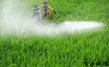 農(nóng)藥防偽標簽