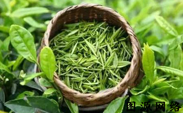 茶葉質量追溯系統(tǒng)