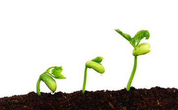 種子追系統(tǒng)如何實(shí)現(xiàn)？