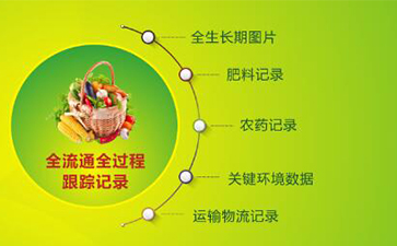 堅(jiān)果有了追溯系統(tǒng)，讓生產(chǎn)過程透明化