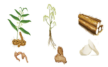 中草藥追溯系統(tǒng)的優(yōu)勢(shì)